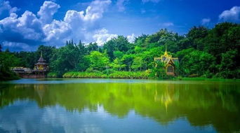 康養(yǎng)旅游項(xiàng)目開發(fā)全指南 從理念到實(shí)踐